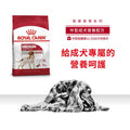 Royal Canin 狗糧 法國皇家狗糧 中型成犬營養配方 M25 15kg