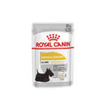 Royal Canin 法國皇家 狗濕糧 成犬皮膚舒緩加護主食濕糧 (肉塊) 85g